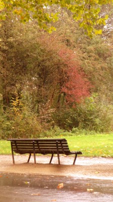 Sara Naumann blog Photo Friday Vondelpark bench