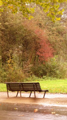 Sara Naumann blog Photo Friday Vondelpark bench