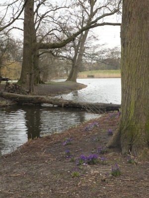 Sara Naumann blog photo friday flowers Vondelpark spring