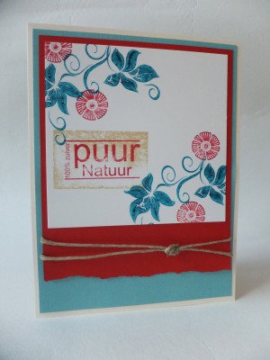 Sara Naumann blog Different Colors card