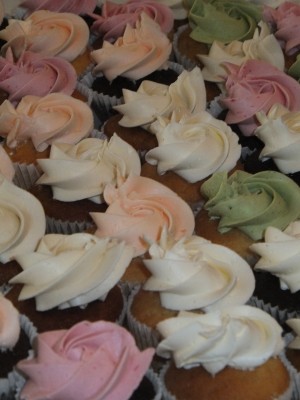 Sara Naumann blog cupcakes TNLP