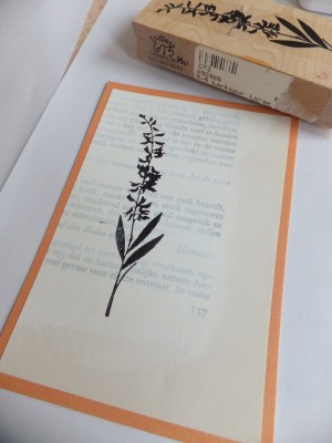 Sara Naumann blog cardmaking stamping