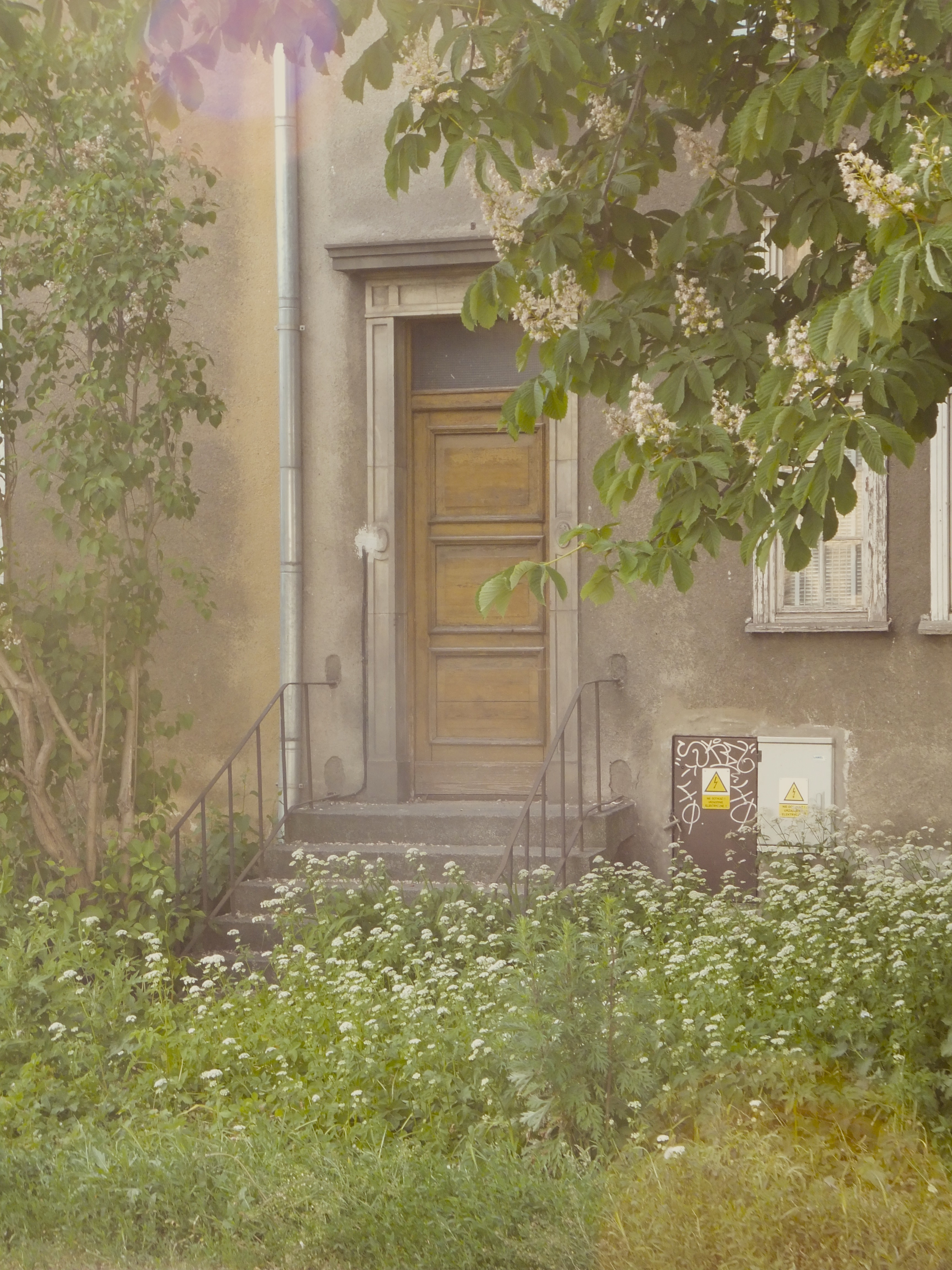 Photo Friday: Mystery Door
