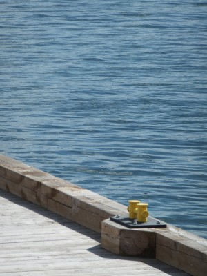 Sara Naumann Photo Friday sea Sara Naumann Photo Friday sea