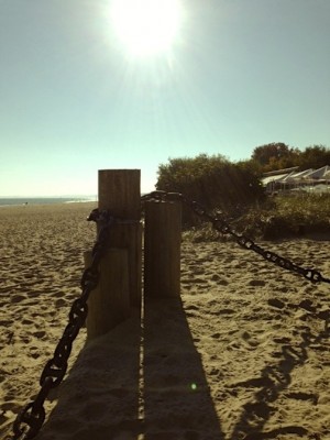 Sara Naumann beach photo