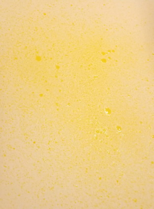 Lemon Zest glossy