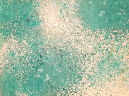 Polished Jade blotted