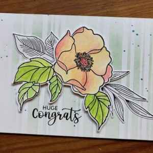 Watercolor Pencil + Altenew Nostalgic Florals Stamps = Easy and Elegant Cards!