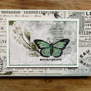 Easy Butterfly Card with Layering Technique: Rub-Ons, Stamps and Embossing